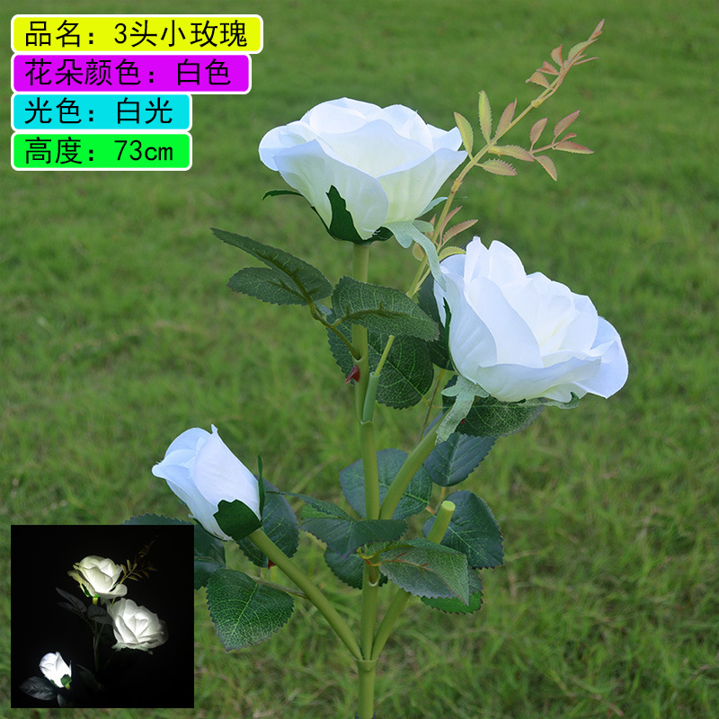 3 new roses white light