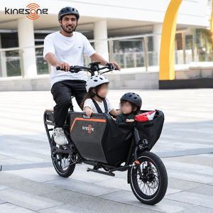 Bicicletta Elettrica da Carico con Motore da 500W, Telaio in Lega di Alluminio, Velocità 40km/h, Carico 120Kg, Doppia Batteria, per Famiglia e Consegne - Product Image 4