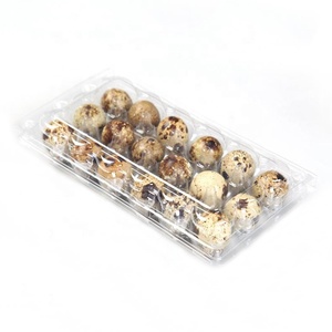 Quail Egg Wholesale Clear Disposable Supermarket Blister Plastic Quail Egg Tray