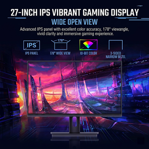 Monitor de Escritorio Rebekah Bank Teller de 24 Pulgadas IPS 100Hz 1ms FHD 1920x1080 99% SRGB con Baja Luz Azul, Marco VESA y VGA - Product Image 4