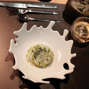Plato para Vegetales Color <span class=keywords><strong>Coral</strong></span>, Apto para Uso en Hogares, Hoteles y Restaurantes, Ideal como Vajilla Formal para Frutas y Ensaladas - Product Image 4