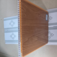 Panneaux muraux de Guyane, salle de bain, imperméables, plafond en PVC, languette et rainure, décoratifs, intérieurs, plafond en PVC