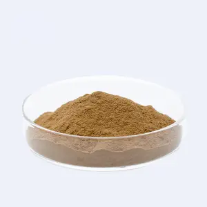 New Ingredient Additive Cicada Flower Extract Ophiocordyceps sobolifera Powder Cordyceps cicadae Extract