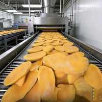 Groothandel Diepvries Dessert Exotische Mango Smaak Diepvries Mango OEM ODM Beschikbaar 10kg Karton Bulkverpakking