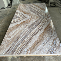 Feuilles de marbre en PVC de qualité supérieure, imperméables et résistantes à la moisissure pour les solutions d'intérieur