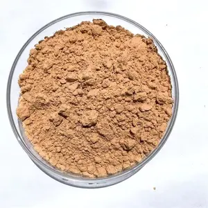 100% extrait naturel d'échinacée extrait d'échinacée purpurea 10% polyphénol