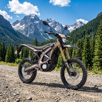 Moto électrique Sur Ron Ultra Bee 24,5 kW 74 V 60 Ah 95 km/h Haute Vitesse Longue Portée Tout-Terrain Ultra Bee 2026 E-moto Motos