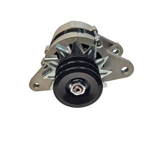 Piezas de repuesto para montacargas Isuzu 1812002050 1812003651 de alta calidad, accesorios para montacargas Nikko 0330001840 22021ALT4142(24V 25A) - Product Image 3