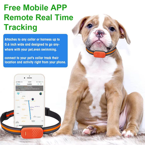 Bán buôn USB sạc <span class=keywords><strong>Tracker</strong></span> Pet Dog <span class=keywords><strong>GPS</strong></span> cổ áo - Product Image 2