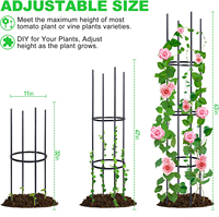 Cage à tomates en acier galvanisé robuste Cage à plantes en plastique pour piquets de tomates Treillis conique Cadre de support pour plantes grimpantes