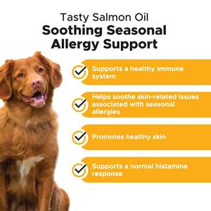 Suplemento Líquido para <span class=keywords><strong>Perros</strong></span> OEM/ODM para Alergias, Pulgas y Piel con Aceite <span class=keywords><strong>de</strong></span> Salmón - Reduce la Picazón y la Caída del Pelo, Apoya la Salud <span class=keywords><strong>de</strong></span> las Articulaciones y el Cerebro, Alto <span class=keywords><strong>en</strong></span> Proteínas - Product Image 3