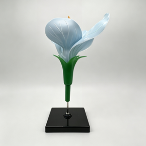 Modelo Desmontable de Disecación de Flor de Guisante |   Material Didáctico sobre la Estructura de las Flores - Product Image 2
