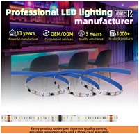 Bande LED TRX SPI RGB CCT IC avec effet d'eau courante, télécommande, contrôleur adressable SPI 24V, 24V pour la décoration intérieure