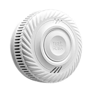 10 năm pin báo cháy đứng một mình khói Detector với báo động