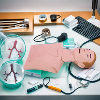 Modèle d'entraînement à l'endoscopie bronchique DARHMMY en PVC, taille naturelle, durable, BOU/LV44, pour l'enseignement clinique, l'examen chirurgical et la pratique