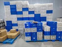 Imkereibedarf Kunststoff-Honigrahmen Kunststoff-Grundlagen Honigwaben-Herstellungsbox