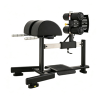 Chaise romaine réglable professionnelle pour salle de sport, banc d'hyperextension, machine d'extension dorsale, équipement d'entraînement de force en métal