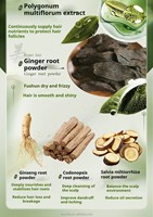 Shampooing Solide 100% Naturel et Bio à l'Effet Romarin, Formule Triangulaire Hydratante à l'Osmanthus et Feuille de Thuja, Ensemble Shampooing et Après-Shampooing Solides