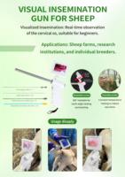 Appareil d'insémination vétérinaire portable à IA visuelle pour chiens de berger - Caméra HD, rechargeable, avec sonde de 46 cm