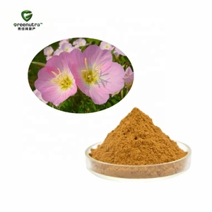 Extracto de Onagra (<span class=keywords><strong>Oenothera</strong></span> Biennis) 10:1, Polvo de Hierba Natural Concentrado para Uso en Suplementos Dietéticos - Product Image 1