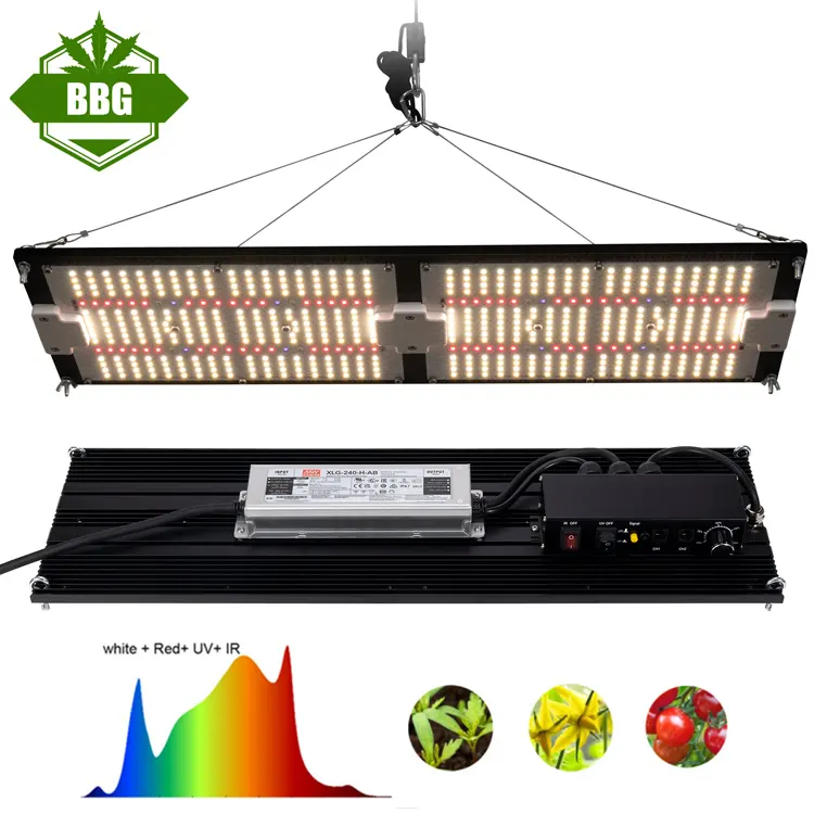 Alta efficienza PPFD 240W IP65 impermeabile LM301H 3500K + epistar 660nm + UV + IR controlla separatamente samsung led coltiva la luce