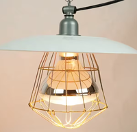 Lampes chauffantes modernes en aluminium pour volailles avec abat-jour pour poulailler, utilisation en ferme, installation facile, garantie 5 ans