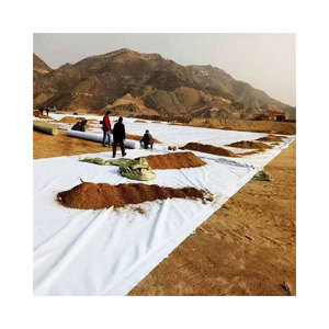 Membrane non tissée en HDPE haute résistance 110g-500g par <span class=keywords><strong>m2</strong></span>, tissu géotextile en polyester 200gsm, <span class=keywords><strong>prix</strong></span> 200g 250g 300g 350g 400g 500g PP - Product Image 2