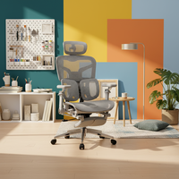 Chaise de bureau exécutive ergonomique moderne en maille avec cadre en plastique, accoudoirs 3D réglables, support lombaire et fonction inclinable