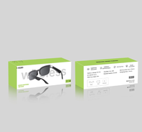 Lunettes Intelligentes IA pour Sports de Plein Air, Lunettes de Soleil Tendance avec Écouteurs Sans Fil, Traducteur et Commande Vocale