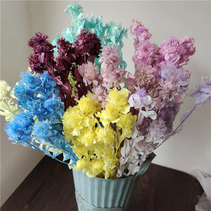 ดอกไม้แห้งสีธรรมชาติแบบขายส่งจำนวนมาก สำหรับตกแต่งงานแต่งงานและบ้าน เช่น ดอกส้ม ดอกสับปะรด ดอกคาร์เนชั่น - Product Image 6