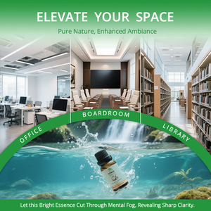 น้ำมันหอมระเหยสำหรับสกัดน้ำมันส้มอาหารน้ำมันส้มขนาดใหญ่สำหรับนวดตัวดูแลผิว - Product Image 4