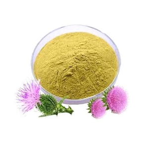 ผงสารสกัดแห้งจากมิลค์ธิสเทิล (Silybum Marianum) คุณภาพพรีเมียม มาตรฐาน 80% ซิลิมาริน สารสกัดจากพืชธรรมชาติ สำหรับใช้ทางสมุนไพร - Product Image 2