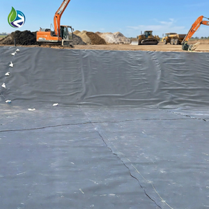 Geomembrana de HDPE/LDPE para Estanques de Peces, para Piscifactorías y Lagos Artificiales, Espesor de 0.75mm-3mm, Duradera e Impermeable - Product Image 1