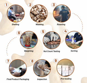 Noix de cajou grillées du Vietnam en boîte ronde de 500 g, marque privée OEM, certifiées ISO, saveur beurrée et salée, durée de conservation de 12 mois, W320 - Product Image 6