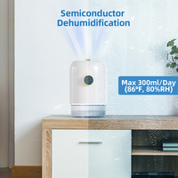 Mini déshumidificateur électrique d'intérieur, poignée de placard de maison 9v 600ML, ODM OEM Peltier