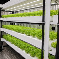 Ferme verticale hydroponique sur mesure à grande échelle, alimentée à l'énergie solaire, pour la culture de la laitue, avec structure en acier et conteneur