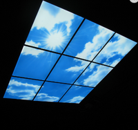 Lumin Effet réaliste Installation facile Simulation bleue Décoration commerciale et domestique Plafonnier artificiel en forme de nuage LED