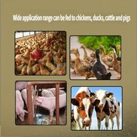 Radijs- en aardappel snijder |   Apparatuur voor de verwerking van wortelgroentevulling