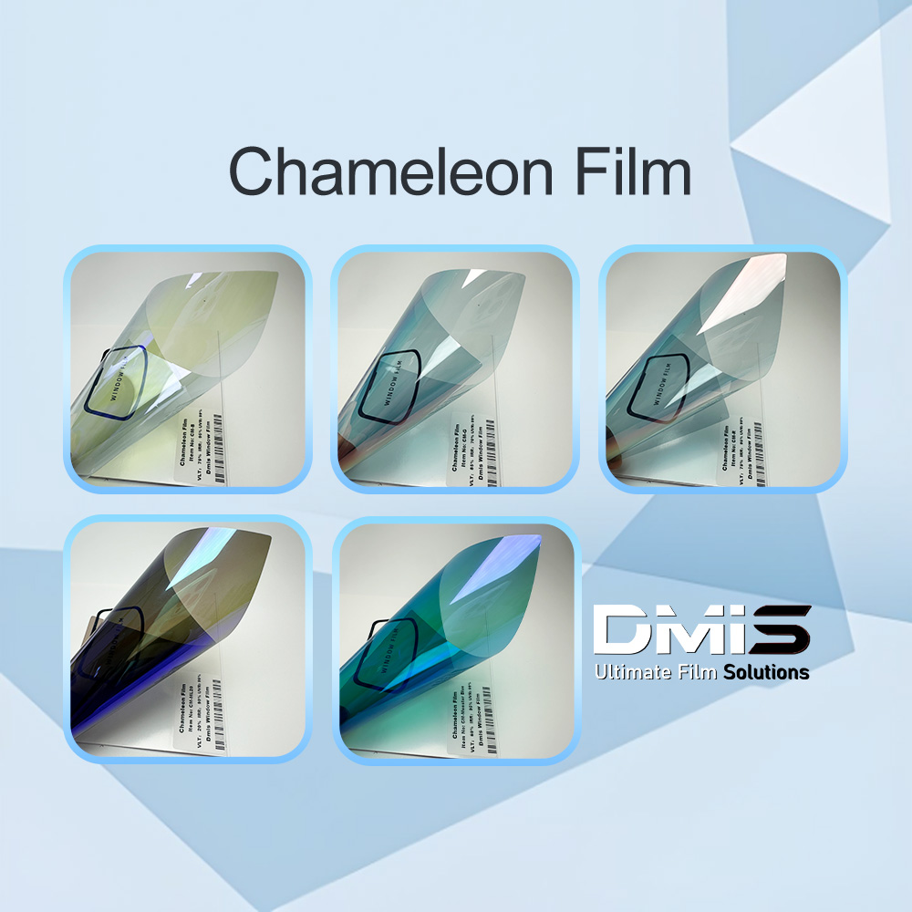 Chameleon Film