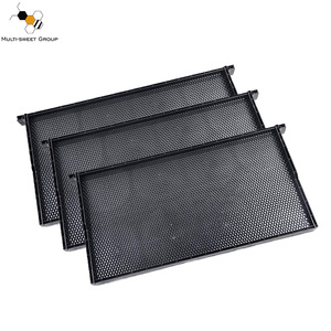 Plastic Bee Frame With Bee <strong>Foundation</strong> Sheet - Product Image 1