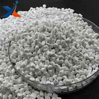 Masterbatch en plastique PP rempli de carbonate de calcium 450-25, poudre de dolomite, qualité film soufflé, qualité moulage par soufflage, qualité alimentaire, blanc jetable