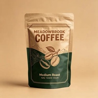 Sachet Doypack Personnalisé en Papier Kraft avec Fermeture Zip, Emballage Alimentaire pour Grains de Café et Café Moulu