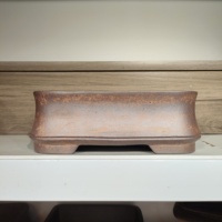 Pot à bonsaï rectangulaire en sable Yixing fait main, best-seller