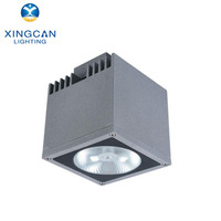 Lampe murale LED à montage au plafond, étanche IP65, pour extérieur, 9*2W 16*2W COB 20W 30W, personnalisable, à intensité variable, garantie 3 ans