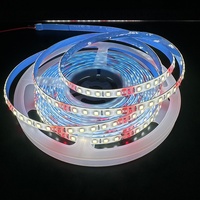 Bandes LED flexibles étanches 12V 24V 48V DC 12v/24v 10W à spectre complet