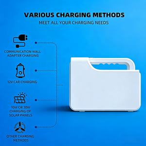 Station d'alimentation portable à batterie rechargeable pour intérieur/extérieur, 110V 220V 230V 240V, personnalisable OEM/ODM, avec lumière, à prix réduit - Product Image 4