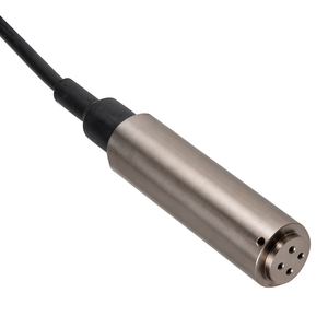 Capteur de température et de niveau submersible intelligent HPT604 - Product Image 4