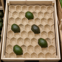 Papieren lade met kleefvrije fabricagestructuur voor het verpakken van biologisch fruit en veilige directe voedselcontactbescherming