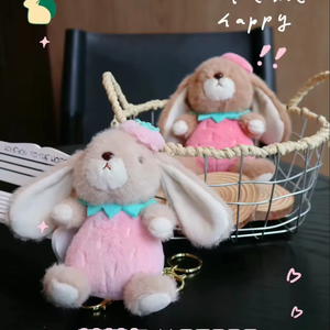 Nouvelle Peluche Lapin Mignonne Porte-clés Poupée Coussin Jouet Vente en Gros Cadeau d'Anniversaire pour Garçons et Filles Collection - Product Image 1