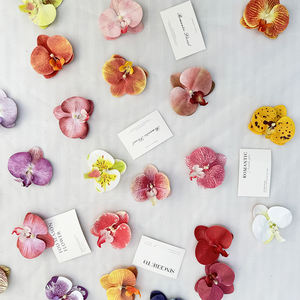 Meichang mariposa Phalaenopsis planta decorativa Artificial colorida Navidad Halloween graduación decoración de Año Nuevo - Product Image 2